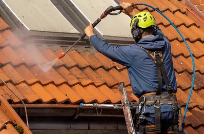Démoussage et hydrofuge de toiture à Éveux